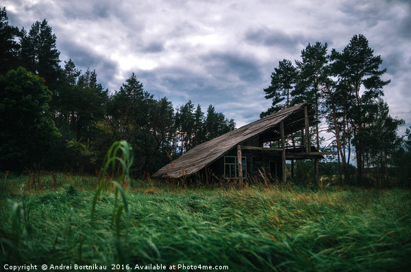 Old wooden abandoned house in the forest at twilig Picture Board by Andrei Bortnikau