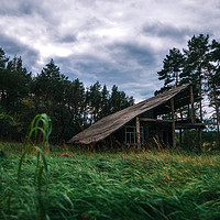 Buy canvas prints of Old wooden abandoned house in the forest at twilig by Andrei Bortnikau