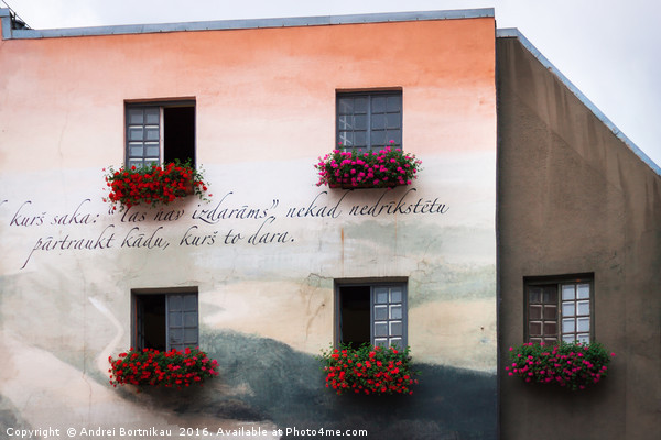 Windows in colored house, Dome square, Riga, Latvi Picture Board by Andrei Bortnikau