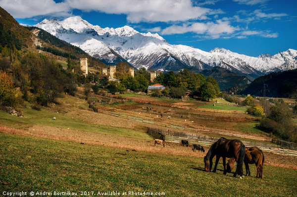 Horses against Svan towers in Mestia, Svaneti, Geo Picture Board by Andrei Bortnikau