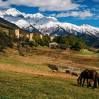 Buy canvas prints of Horses against Svan towers in Mestia, Svaneti, Geo by Andrei Bortnikau