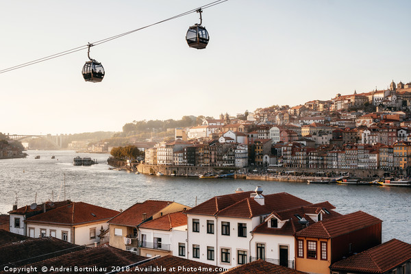 Old town of Porto on Douro River, Portugal. Picture Board by Andrei Bortnikau