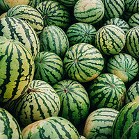 Buy canvas prints of Green watermelons with black stripes by Andrei Bortnikau