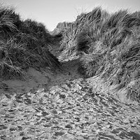 Buy canvas prints of Sand Dunes at Croyde by patricia cannock