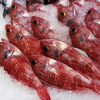 Buy canvas prints of Fresh red fish  by Igor Krylov