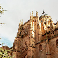 Buy canvas prints of Cathedral of Salamanca by Igor Krylov