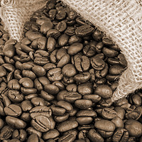 Buy canvas prints of Coffee beans by Igor Krylov