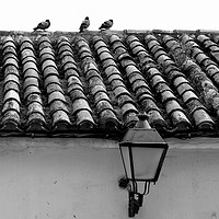 Buy canvas prints of Tile roof by Igor Krylov