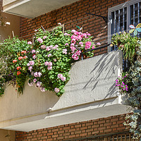 Buy canvas prints of Balcony with flowers in Madrid by Igor Krylov