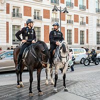 Buy canvas prints of Policia on horse by Igor Krylov