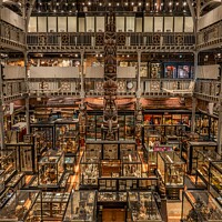 Buy canvas prints of Pitt Rivers Museum. by Angela Aird