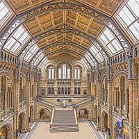 Buy canvas prints of Natural History Museum by Angela Aird