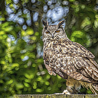 Buy canvas prints of Eurasian Eagle Owl. by Angela Aird