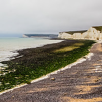 Buy canvas prints of Birling Gap. by Angela Aird
