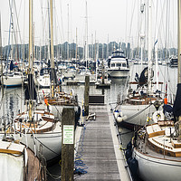 Buy canvas prints of The Yachts. by Angela Aird