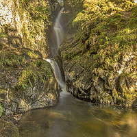 Buy canvas prints of Aira Force. by Angela Aird