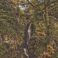 Buy canvas prints of Autumnal Waterfall. by Angela Aird