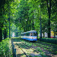 Buy canvas prints of Polish Tram. by Angela Aird