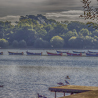 Buy canvas prints of Petersfield Lake. by Angela Aird
