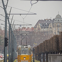 Buy canvas prints of Budapest Tram. by Angela Aird