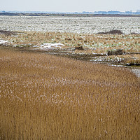 Buy canvas prints of The Marshes. by Angela Aird
