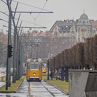 Buy canvas prints of Budapest Tram. by Angela Aird