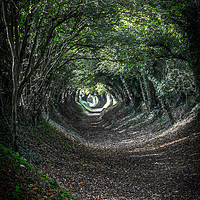 Buy canvas prints of Tunnel of Trees. by Angela Aird