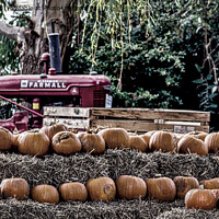Buy canvas prints of Pumpkin Harvest. by Angela Aird