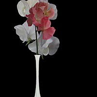 Buy canvas prints of Vase of flowers by Henry Horton