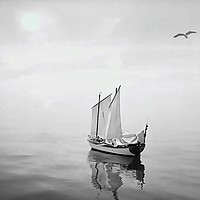Buy canvas prints of Adrift with the gulls. by Henry Horton