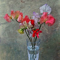 Buy canvas prints of Sweet Peas by Henry Horton