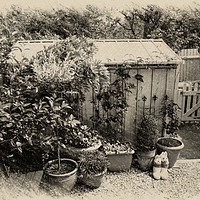 Buy canvas prints of The potting shed by Henry Horton