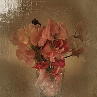 Buy canvas prints of Sweet Peas by Henry Horton