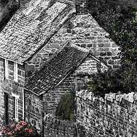 Buy canvas prints of Rose Cottage by Henry Horton