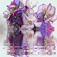 Buy canvas prints of Floral reflections by Henry Horton