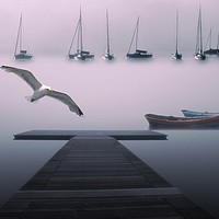 Buy canvas prints of Mist Morning by Henry Horton