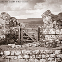 Buy canvas prints of Hadrians Wall by Peter Shersby