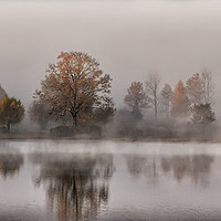 Buy canvas prints of Autumn Misty Morning by Rick Penrose