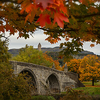 Buy canvas prints of Autumn Frames the Stirling Bridge by Samuel Kerr