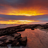 Buy canvas prints of Sunrise over Kingsbarns Beach by Gordon Murray