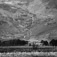 Buy canvas prints of Buttermere Trees by Scott Middleton