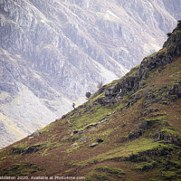 Buy canvas prints of Lake District Fells by Scott Middleton