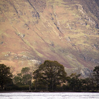 Buy canvas prints of Butternmere fells with trees by Scott Middleton