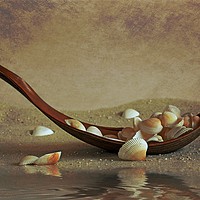 Buy canvas prints of Seashells shuttle by Thomas Herzog