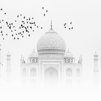Buy canvas prints of Taj Mahal with a flock of birds by Thomas Herzog
