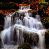 Buy canvas prints of Waterfall in the magic forest  by Thomas Herzog