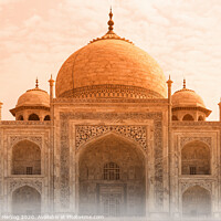 Buy canvas prints of Taj Mahal by Thomas Herzog