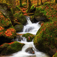 Buy canvas prints of A waterfall in a forest by Thomas Herzog
