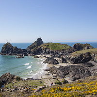 Buy canvas prints of Kynance Cove in Cornwall, England by Tim Woolcock