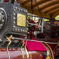 Buy canvas prints of Traction Engine at Trevithick Day Camborne 2016 by Tim Woolcock